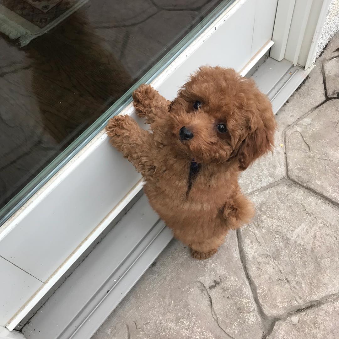 WhatsApp Image 2025-12-08 at 02.20.44