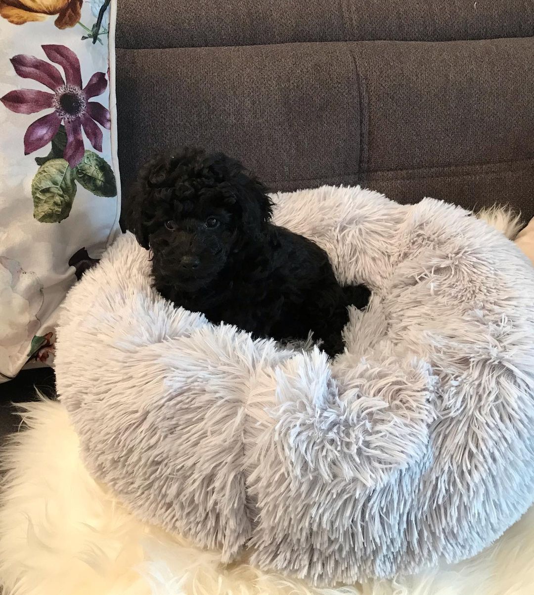 WhatsApp Image 2025-12-08 at 02.20.45 (2)