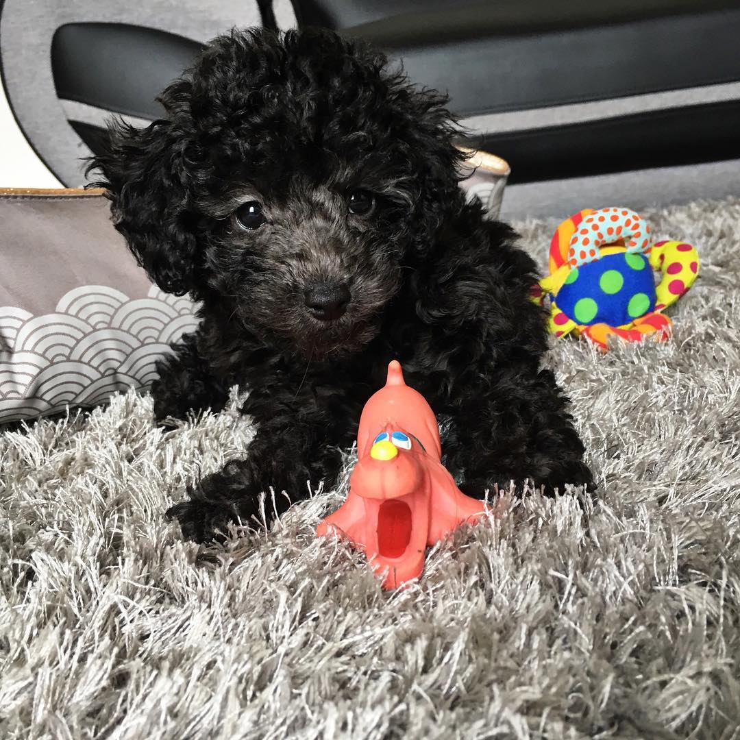 WhatsApp Image 2025-12-08 at 02.20.45 (3)