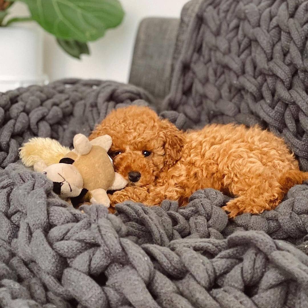 WhatsApp Image 2025-12-08 at 02.20.46 (2)