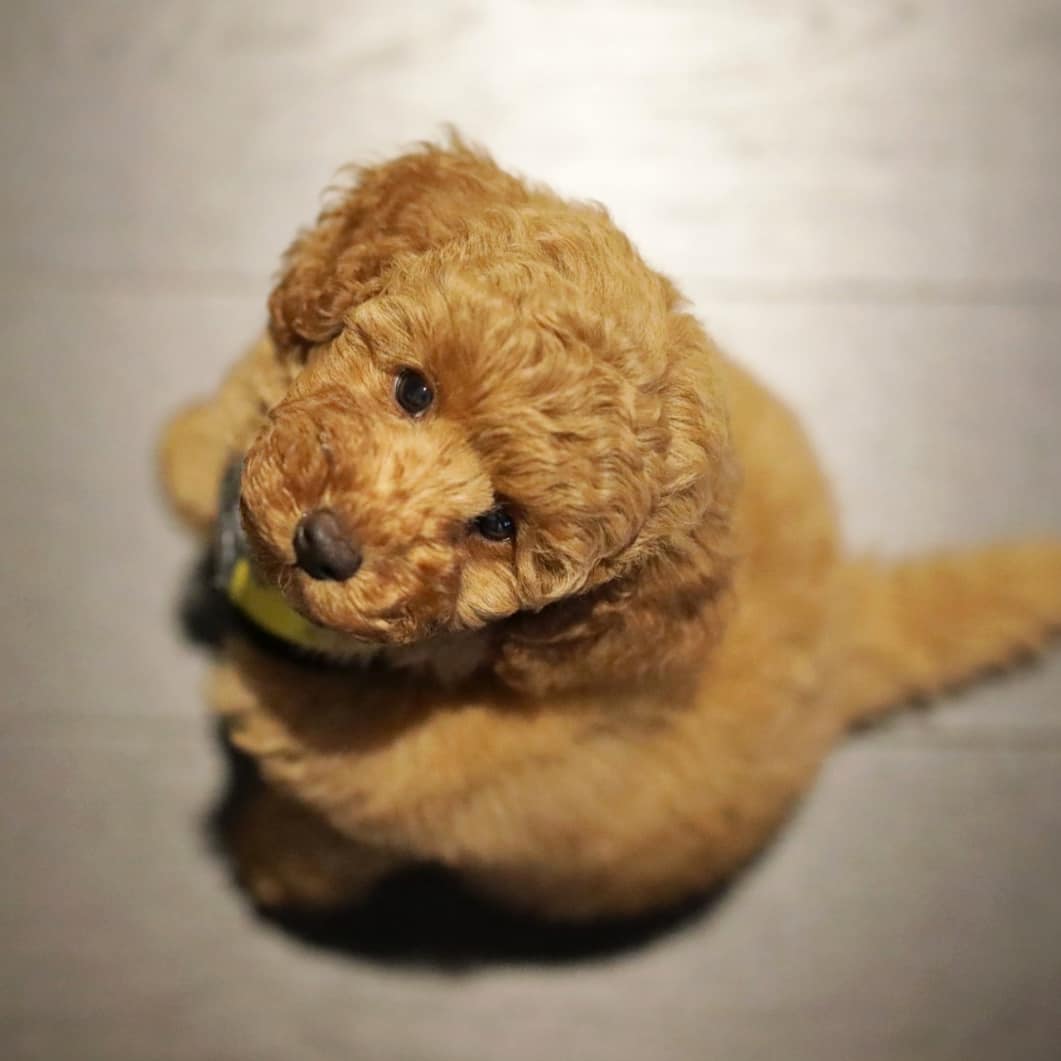 WhatsApp Image 2025-12-08 at 02.20.46