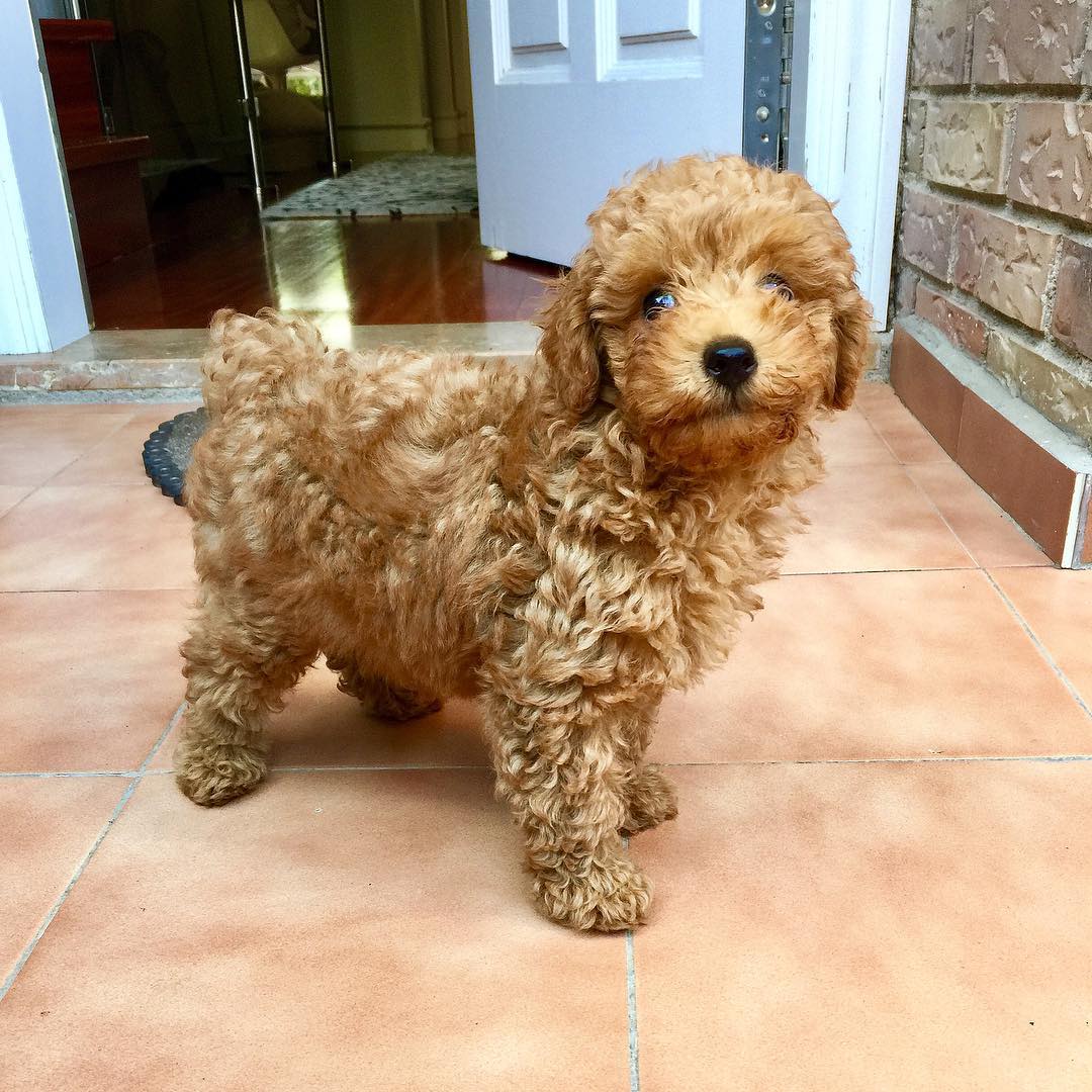 WhatsApp Image 2025-12-08 at 02.20.47 (1)