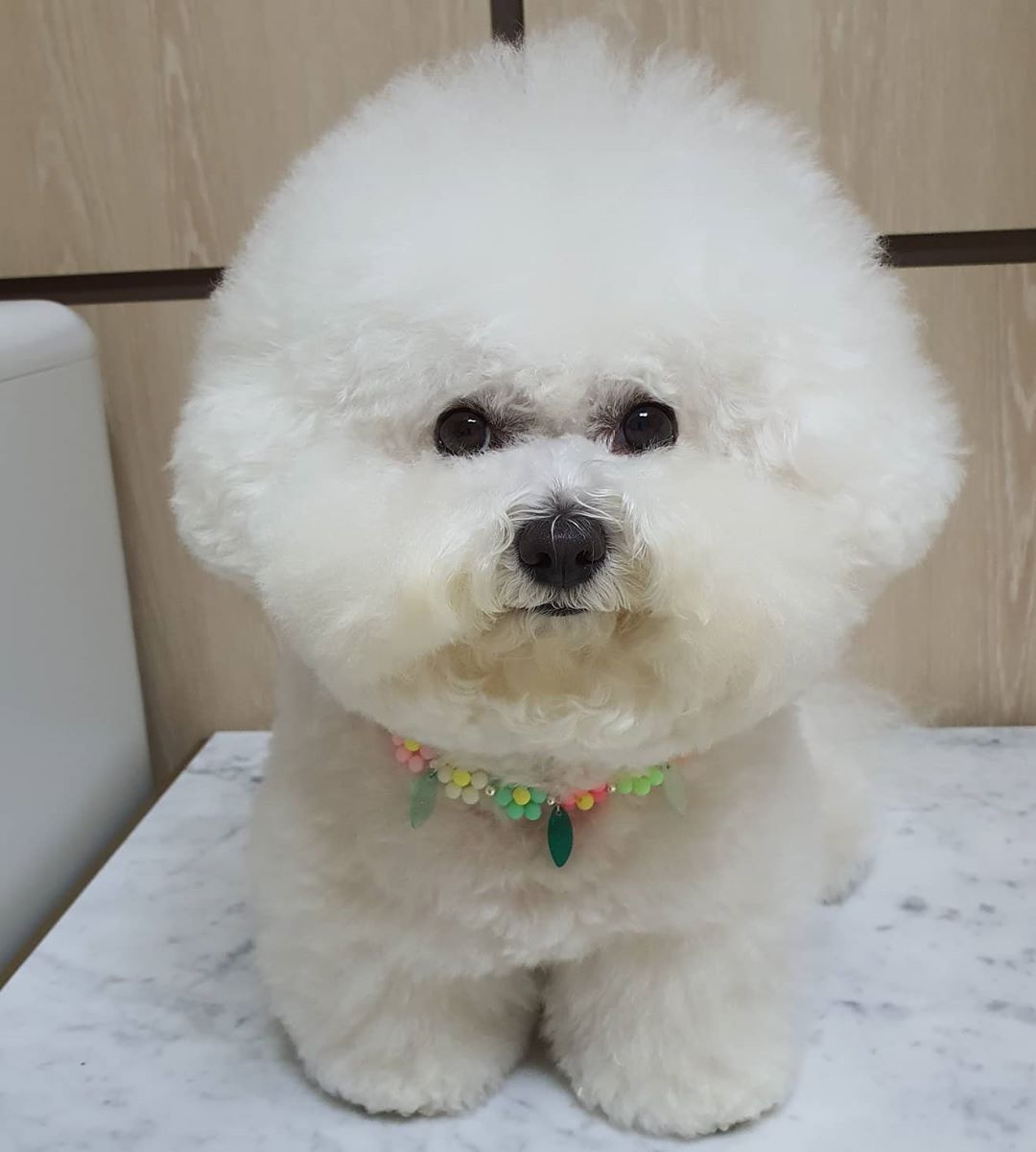 WhatsApp Image 2025-12-08 at 02.20.47