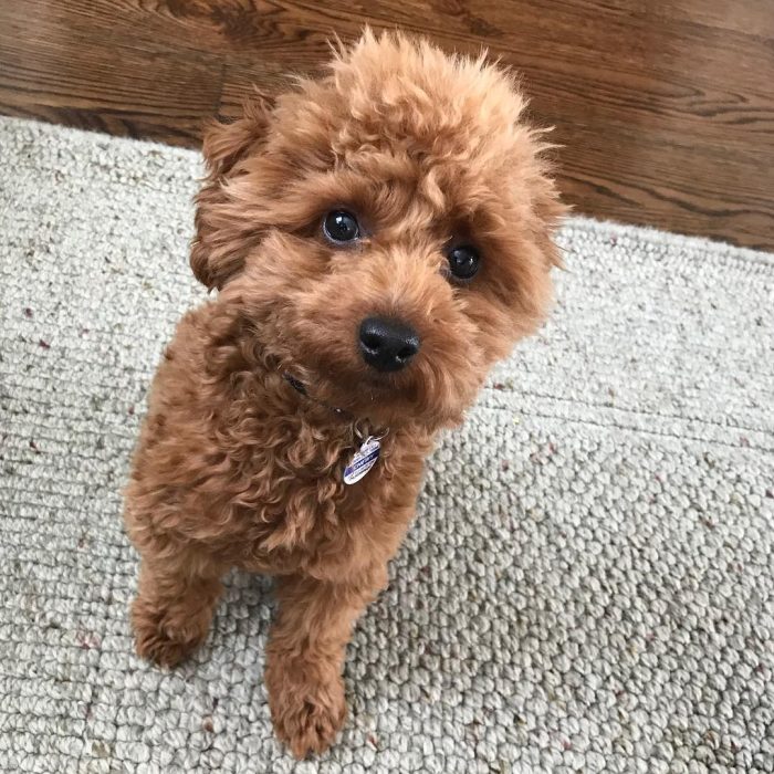 WhatsApp Image 2025-12-08 at 02.20.44 (1)