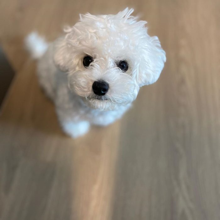 WhatsApp Image 2025-12-08 at 02.20.44 (2)