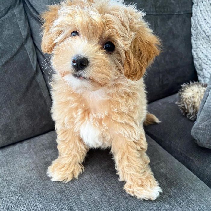 WhatsApp Image 2025-12-08 at 02.20.45