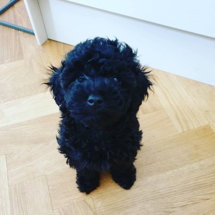 WhatsApp Image 2025-12-08 at 02.20.46 (1)