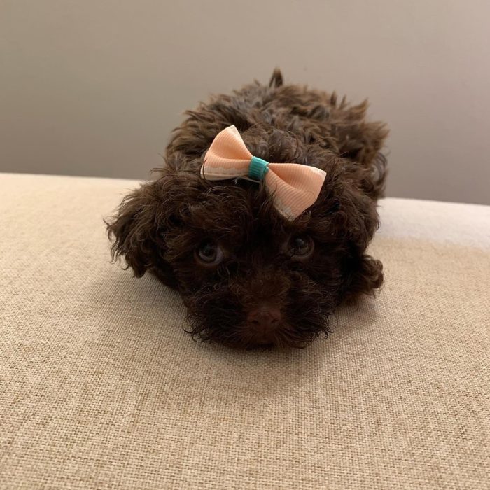 WhatsApp Image 2025-12-08 at 02.20.46 (3)