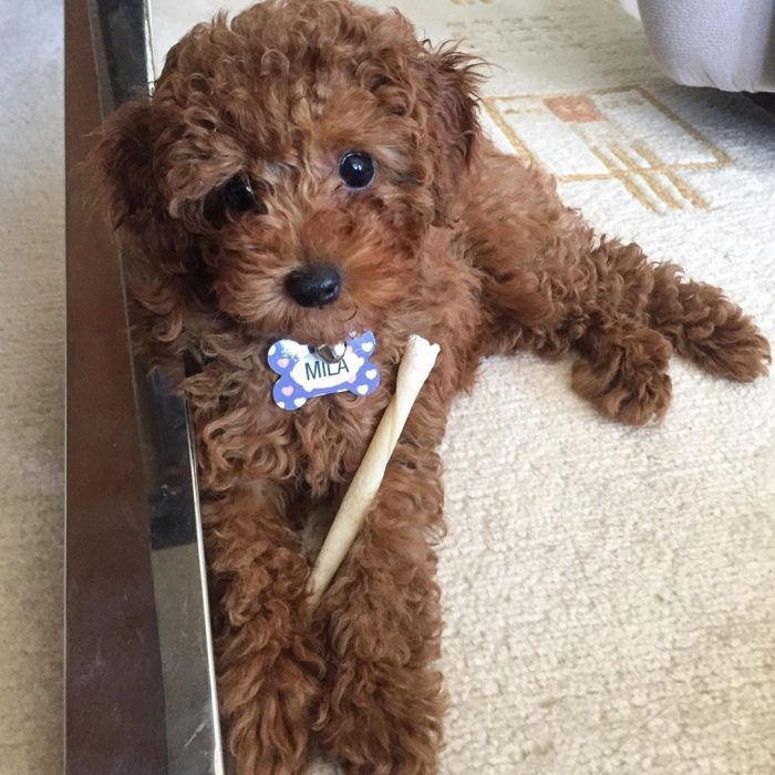 WhatsApp Image 2025-12-08 at 02.20.47 (2)