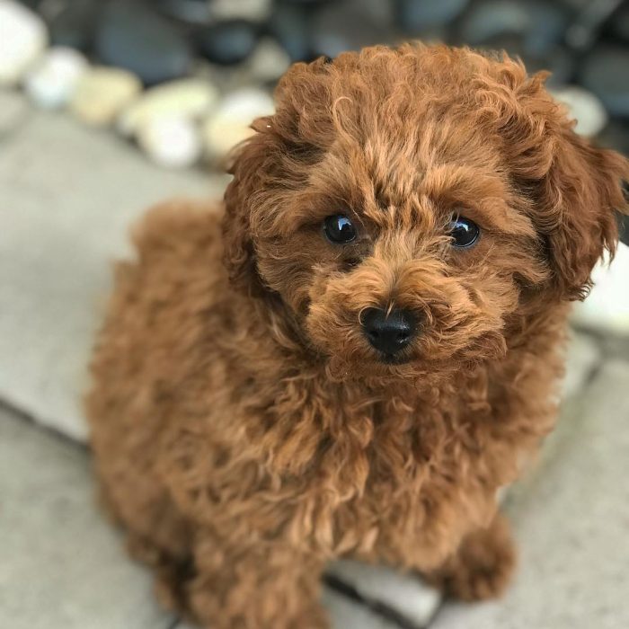 WhatsApp Image 2025-12-08 at 02.20.47 (4)