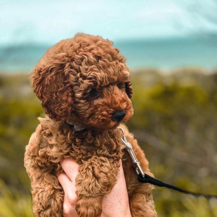 WhatsApp Image 2025-12-08 at 02.20.48 (1)