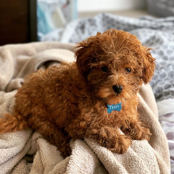 WhatsApp Image 2025-12-08 at 02.20.48